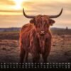 Africká fauna – Kalendár zvierat – 2025 – Kalendár formátu DIN A3: Nástenný kalendár s najkrajšími motívmi africkej fauny na rok 2025 vo formáte DIN A3 (cca 42 x 30 cm)!