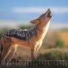 Africká fauna – Kalendár zvierat – 2025 – Kalendár formátu DIN A3: Nástenný kalendár s najkrajšími motívmi africkej fauny na rok 2025 vo formáte DIN A3 (cca 42 x 30 cm)!