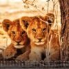 Africká fauna – Kalendár zvierat – 2025 – Kalendár formátu DIN A3: Nástenný kalendár s najkrajšími motívmi africkej fauny na rok 2025 vo formáte DIN A3 (cca 42 x 30 cm)!