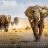 Africká fauna – Kalendár zvierat – 2025 – Kalendár formátu DIN A3: Nástenný kalendár s najkrajšími motívmi africkej fauny na rok 2025 vo formáte DIN A3 (cca 42 x 30 cm)!