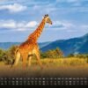Africká fauna – Kalendár zvierat – 2025 – Kalendár formátu DIN A3: Nástenný kalendár s najkrajšími motívmi africkej fauny na rok 2025 vo formáte DIN A3 (cca 42 x 30 cm)!