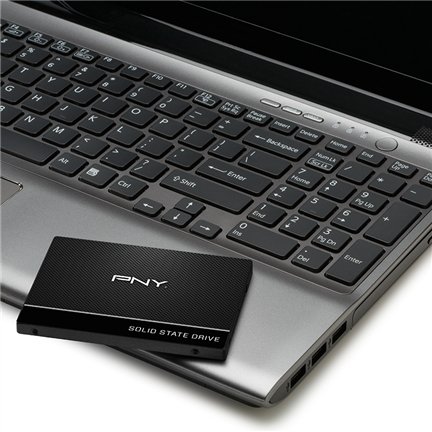 image-1654.jpeg SSD disk PNY CS900 250GB 2.5" SATA III