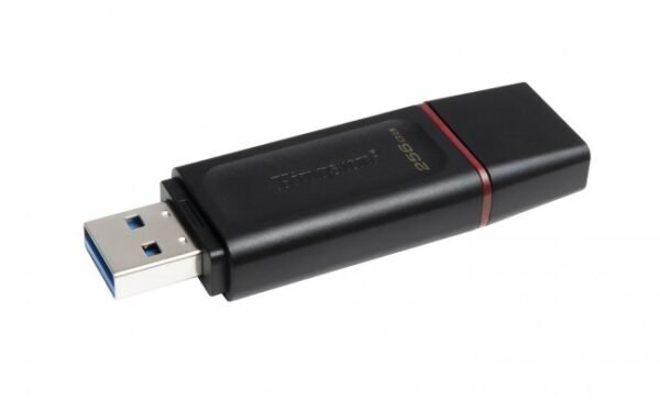 USB kľúč Kingston 256GB DataTraveler Exodia Black/Pink USB3.2 Gen1