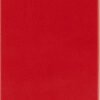 Knižkový diár 2025 A6 Moleskine červený