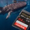e112a6644fc39040c968dcfa9525.jpg Pamäťová karta SanDisk Extreme PRO 64 GB SDXC 200/90 MB/s V30